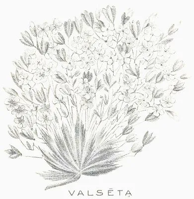 Valsēta̤, a sacred flower