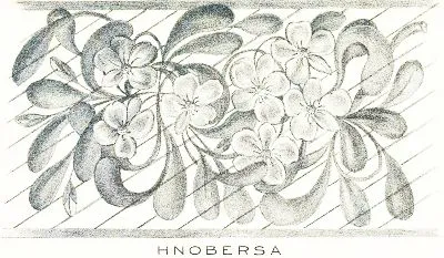 Ilno bersa̤, hairy crawler