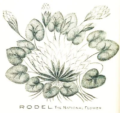 Rodel, the National Flower
