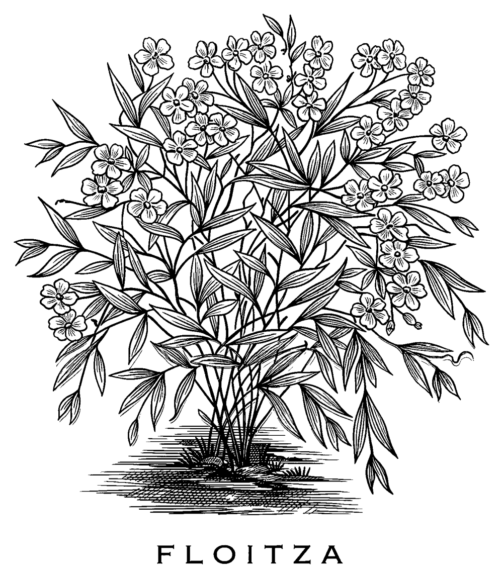 A black and white drawing of a flowering shrub, which animates into view as if being drawn