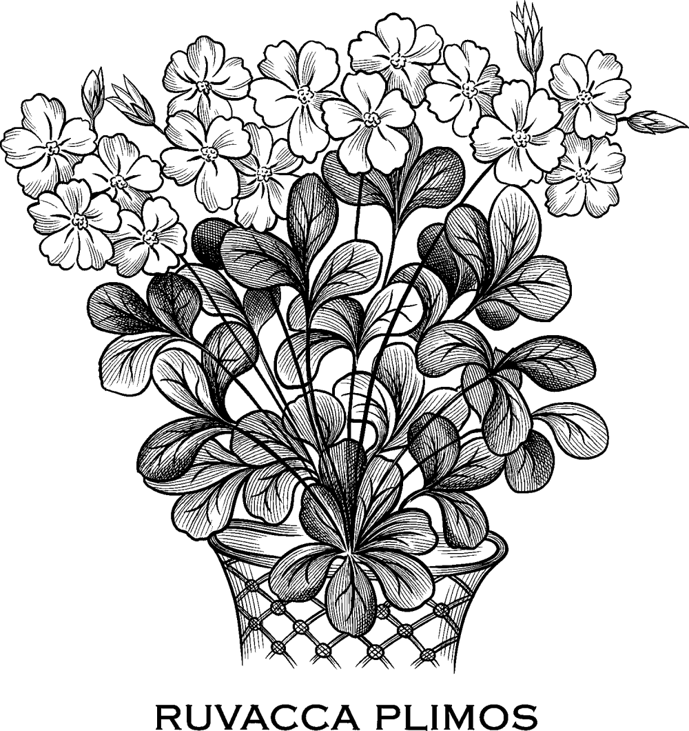 A black and white drawing of a flower in a pot, which animates into view as if being drawn